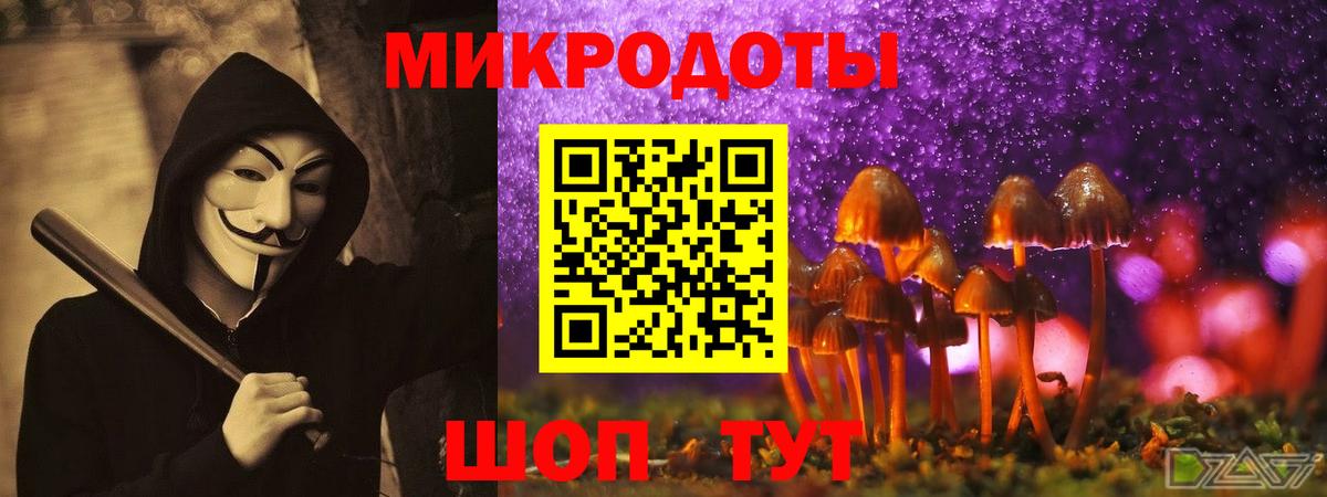 Псилоцибиновые грибы GOLDEN TEACHER  Вход с VPN  Кольчугино  Галлюциногенные грибы прущие грибы 