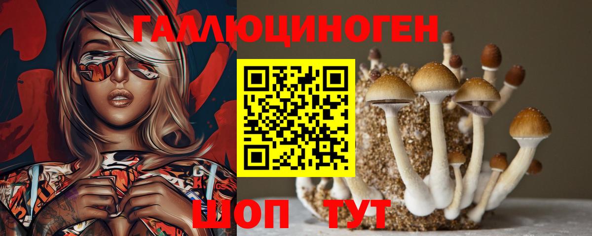 Галлюциногенные грибы GOLDEN TEACHER Кольчугино